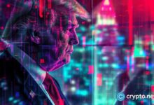 DeFi se dispara tras la elección de Trump en EE.UU.: Descubre el impacto en el mercado - Cripto Boom