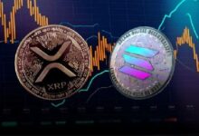 Aprobación del ETF de Solana y XRP Depende de las Elecciones de EE. UU. 2024: Descubre Más - Cripto Boom