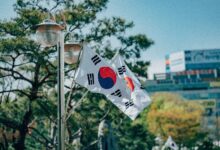 Volúmenes de Comercio de Dogecoin y XRP Superan a Bitcoin en Corea del Sur: ¡Descubre Más! - Cripto Boom