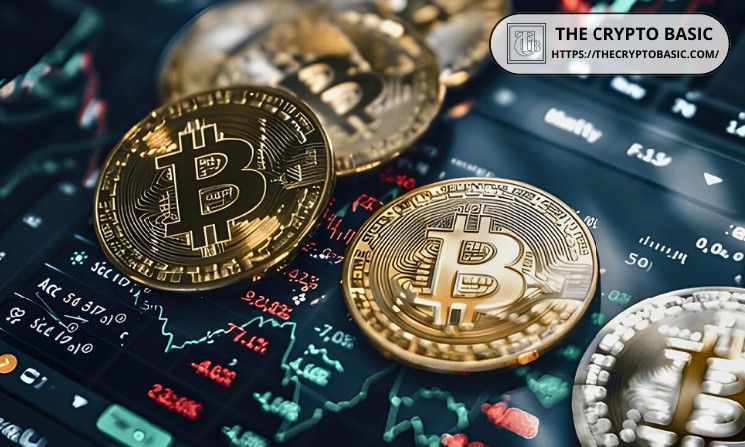 Experto del Mercado Revela que Bitcoin Usualmente Tiene 385 Días de Tendencia Alcista: ¡Descubre lo que Sucede en la Semana 2! - Cripto Boom