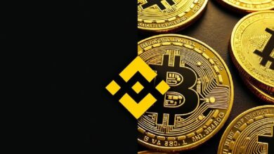 Analista Onchain: Binance Utiliza Reservas en Carteras Frías ante Aumento de Salidas de Bitcoin - ¡Descubre Más! - Cripto Boom