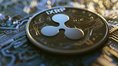 Vendedores en Corto Pierden Todo: ¡XRP Sube un 25% en 24 Horas! - Cripto Boom