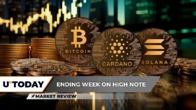 Bitcoin (BTC) se Estabiliza: Señal Crucial, Cardano (ADA) Muestra Aumento de Precio por Primera Vez en 7 Meses, Solana (SOL) Captura $200: ¿Nuevo Récord Histórico Próximo? ¡Descúbrelo! - Cripto Boom