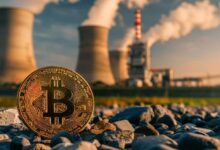 Estudio revela que prohibiciones de minería de Bitcoin podrían aumentar huella de carbono: Descubre por qué - Cripto Boom