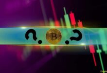 Estas Altcoins se Disparan a Doble Dígito mientras Bitcoin (BTC) se Calma tras su Nuevo Máximo Histórico (Análisis de Mercado) - ¡Descubre Más! - Cripto Boom