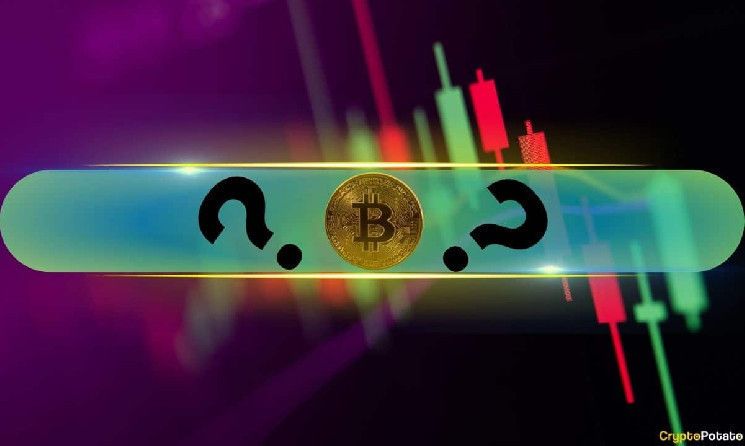 Estas Altcoins se Disparan a Doble Dígito mientras Bitcoin (BTC) se Calma tras su Nuevo Máximo Histórico (Análisis de Mercado) - ¡Descubre Más! - Cripto Boom