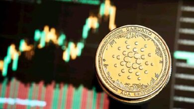 Descubre por qué los analistas están optimistas con ADA - Cripto Boom