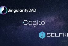 SingularityDAO, SelfKey y Cogito Finance se Unen para Lanzar Singularity Finance: ¡Descubre los Detalles tras la Votación Comunitaria! - Cripto Boom