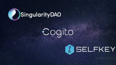 SingularityDAO, SelfKey y Cogito Finance se Unen para Lanzar Singularity Finance: ¡Descubre los Detalles tras la Votación Comunitaria! - Cripto Boom