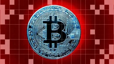 ¿Por qué Sube el Precio de Bitcoin Hoy? ¡Toros Rompen $92k, Apuntan a $100k Próximamente! - Cripto Boom