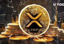 XRP Logra Cruce Dorado Contra Bitcoin: ¡Descubre Lo Que Sigue! - Cripto Boom