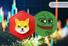 PEPE se Acerca a Shiba Inu en la Última Recuperación, ¿Será PEPE el Segundo Memecoin Más Grande? ¡Descúbrelo! - Cripto Boom