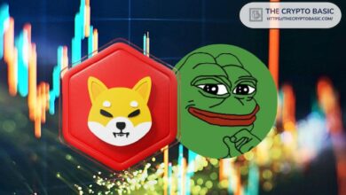 PEPE se Acerca a Shiba Inu en la Última Recuperación, ¿Será PEPE el Segundo Memecoin Más Grande? ¡Descúbrelo! - Cripto Boom