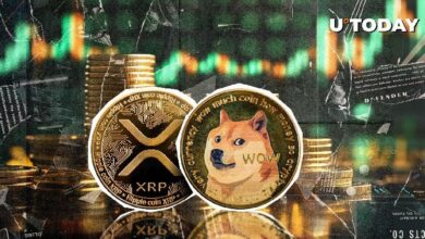 Dogecoin Supera a XRP con un Aumento del 50%: ¡Descubre los Detalles! - Cripto Boom