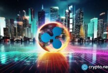 Expertos en criptomonedas explican por qué el precio de XRP podría aumentar pronto: ¡Descubre ahora! - Cripto Boom