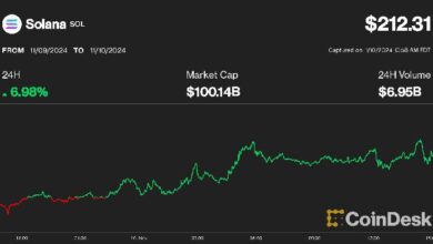 Solana se Une al Club de los $100 Mil Millones: ¡Descubre su Histórico Máximo de $210! - Cripto Boom