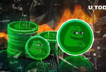 ¡El 72% de los Titulares de PEPE Obtienen Ganancias al Subir el Precio! - Cripto Boom