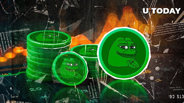 ¡El 72% de los Titulares de PEPE Obtienen Ganancias al Subir el Precio! - Cripto Boom