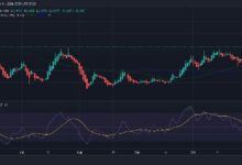 Precio de WIF: ¿Hasta dónde puede llegar el precio de DogWifHat? Descúbrelo aquí. - Cripto Boom