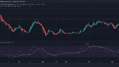 Precio de WIF: ¿Hasta dónde puede llegar el precio de DogWifHat? Descúbrelo aquí. - Cripto Boom