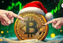 El Rally Navideño de Bitcoin: Ballenas de Wall Street Apuntan a un Objetivo de $125K - ¡Descubre Más! - Cripto Boom