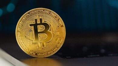 EE.UU. Debe Crear una Reserva Estratégica de Bitcoin: Descubre Por Qué - Cripto Boom