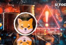 Advertencia Crucial Emitida Nuevamente a la Comunidad Shiba Inu: Descubre el Motivo de Urgencia - Cripto Boom