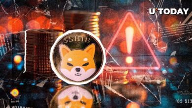 Advertencia Crucial Emitida Nuevamente a la Comunidad Shiba Inu: Descubre el Motivo de Urgencia - Cripto Boom