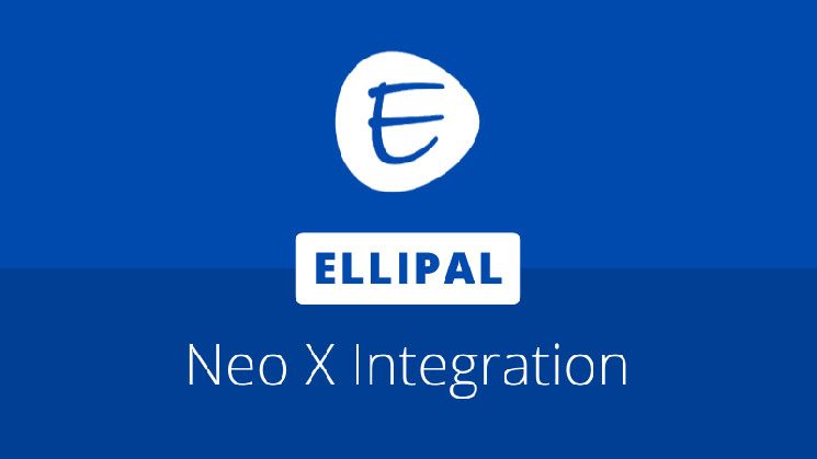 ¡Descubre cómo Neo se une a Ellipical para impulsar Neo X con su nueva colaboración en monederos hardware! - Cripto Boom