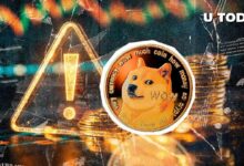 ¡Alerta! Aumento del 145% en el Precio de Dogecoin: Lo que el Líder de DOGE Quiere que Sepas - Cripto Boom