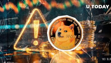 ¡Alerta! Aumento del 145% en el Precio de Dogecoin: Lo que el Líder de DOGE Quiere que Sepas - Cripto Boom