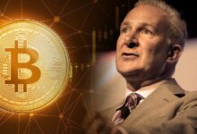 Enemigo de Bitcoin, Peter Schiff, Emitió un Anuncio Tras el Gran Aumento: ¿Gobierno de EE.UU. Comprará 1 Millón de BTC? - Cripto Boom