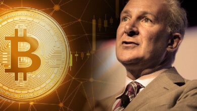 Enemigo de Bitcoin, Peter Schiff, Emitió un Anuncio Tras el Gran Aumento: ¿Gobierno de EE.UU. Comprará 1 Millón de BTC? - Cripto Boom