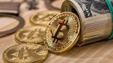 ETF de Bitcoin y Ethereum Añaden Casi $2,000 Millones Mientras el Mercado Cripto Sube—¡Descubre Más! - Cripto Boom