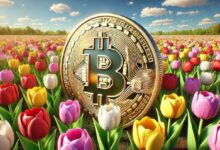 Bitcoin vs. Mania de los Tulipanes: Descubre por qué la Comparación No Resiste el Análisis - Cripto Boom