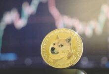 ¿Por qué el próximo objetivo mínimo de Dogecoin es $3.5, según analista? Descúbrelo aquí - Cripto Boom