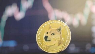 ¿Por qué el próximo objetivo mínimo de Dogecoin es $3.5, según analista? Descúbrelo aquí - Cripto Boom