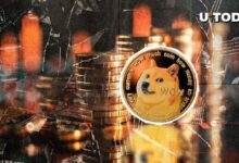 Liquidación de 84.9 Millones de Dogecoin (DOGE) en Pérdidas de Largos y Cortos: Descubre el Impacto Ahora - Cripto Boom