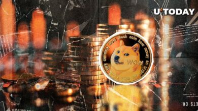 Liquidación de 84.9 Millones de Dogecoin (DOGE) en Pérdidas de Largos y Cortos: Descubre el Impacto Ahora - Cripto Boom