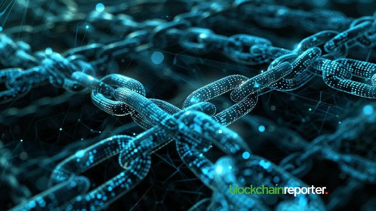 Ordify se une al ecosistema VanarChain: amplía herramientas para recaudación multicadena y gestión de activos ¡Descúbrelo aquí! - Cripto Boom