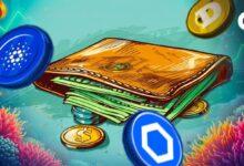 Actividad de Carteras: Descubre por qué Menos Titulares de ADA y DOGE Podrían Ser una Señal Alcista - Cripto Boom