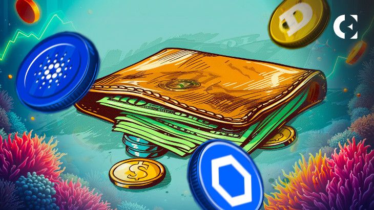 Actividad de Carteras: Descubre por qué Menos Titulares de ADA y DOGE Podrían Ser una Señal Alcista - Cripto Boom