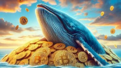 ¿Es la caída de Bitcoin una oportunidad de compra? ¡Cinco grandes ballenas dijeron "sí" y compraron $192 millones en BTC en solo cuatro días! - Cripto Boom