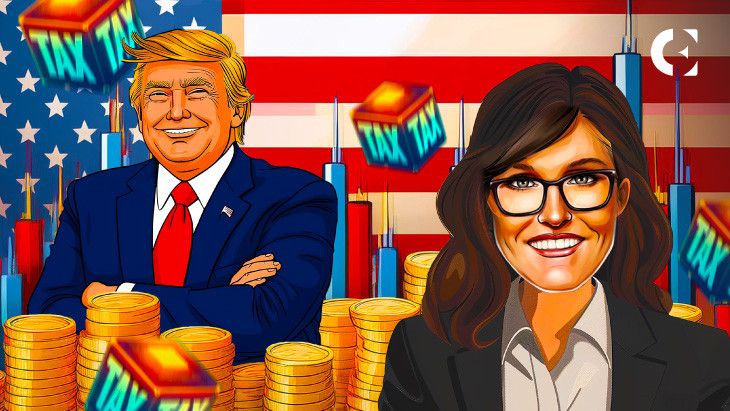 Cambios en Políticas Fiscales con Trump y Harris: Impacto en el Mercado Cripto ¡Descúbrelo! - Cripto Boom