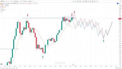 ¡Bitcoin Alcanzó $81K por Primera Vez! Únete al Rally Alcista de las Criptomonedas - Cripto Boom