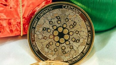 El Precio de Cardano (ADA) Aumenta Más del 8% ante la Llegada del Hard Fork Chang: ¡Descubre Más! - Cripto Boom