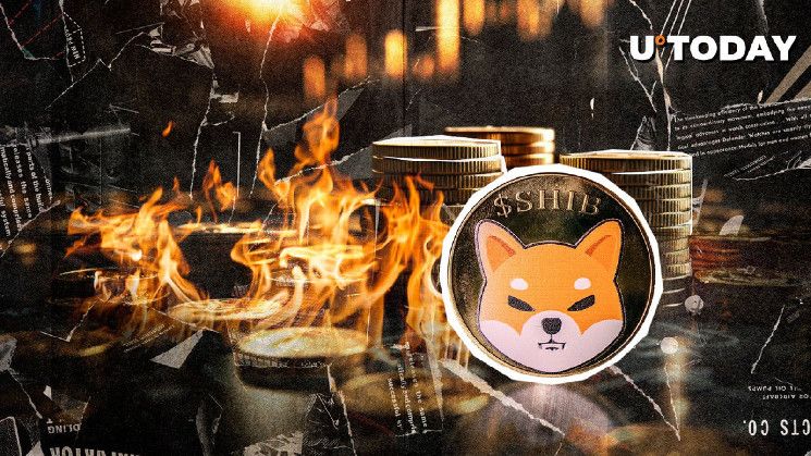 ¡La Tasa de Quema de SHIB Alcanza Cero, Pero Millones de Monedas Siguen Ardientes! ¡Descubre los Detalles! - Cripto Boom