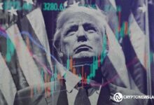 Subida Post-Electoral: Monedas Inspiradas en Trump Captan Atención - ¡Descubre Más! - Cripto Boom