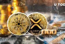 ¡Descubre las Predicciones de un Analista Top sobre las Presentaciones de ETF para XRP y ADA! - Cripto Boom