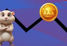 El Volumen de Comercio se Dispara, pero Hamster Kombat Enfrenta Grandes Desafíos: Descubre Más - Cripto Boom